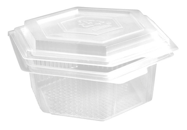 Schale 1000 ml PP transparent 172 × 104 mm mit Deckel – 300 Stück