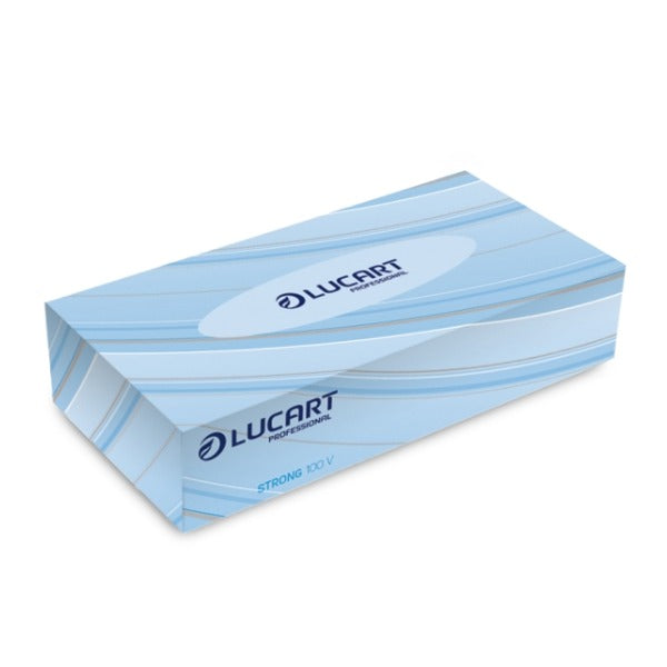 Lucart Kosmetiktuch, Zellstoff, 2-lagig, weiss, Box à 100 Tücher, 20 × 21 cm – 40 Boxen