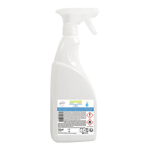 Flächendesinfektion Sanitizer Spray, 750 ml – 12 Stück